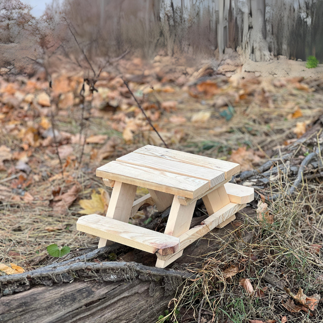 Squirrel feeder picnic table