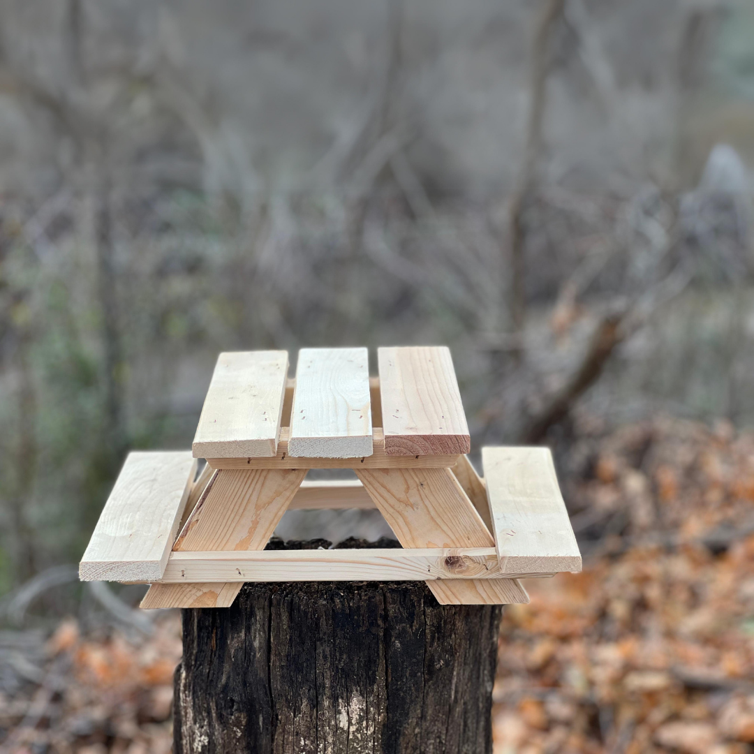 Squirrel feeder picnic table